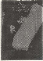 http://www.daniel-bischoff.net/files/gimgs/th-89_Riso 117 79 x 112mm.jpg